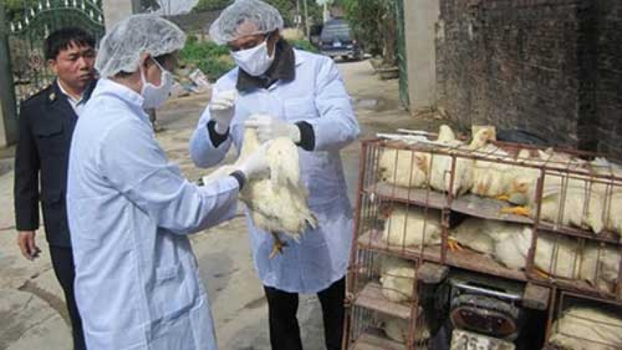 
        Ministry urges precautionary measures to control bird flu
                              