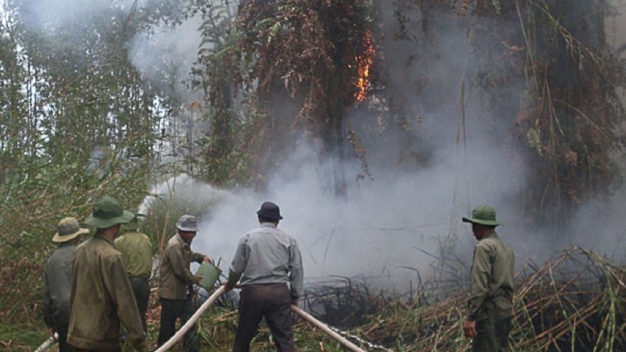 
        Ca Mau province prepared for forest fires
                              
