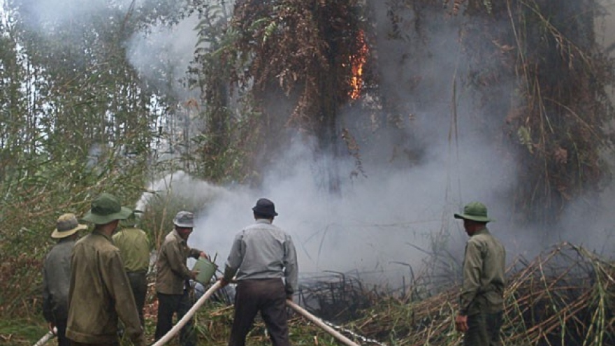 Ca Mau province prepared for forest fires