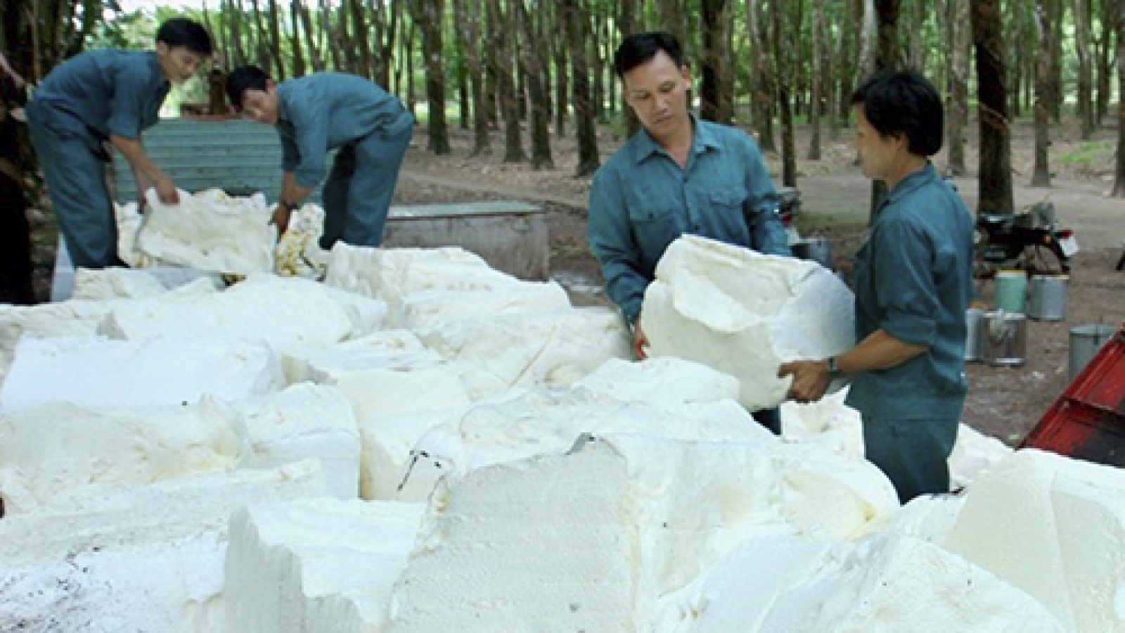 Rubber sector urged to enhance added value