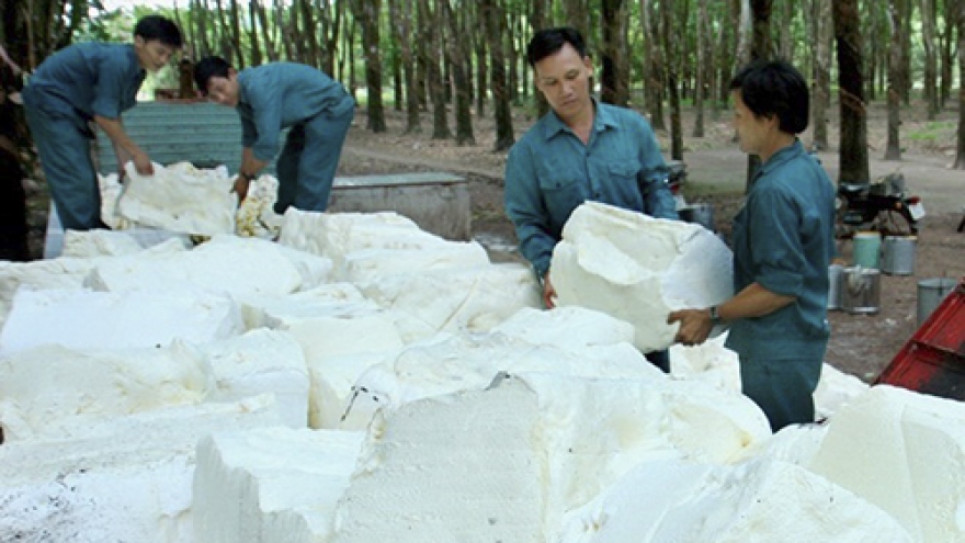 Rubber sector urged to enhance added value