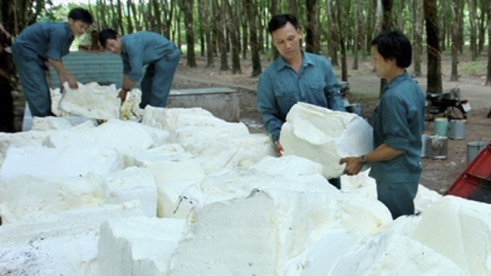Rubber sector urged to enhance added value