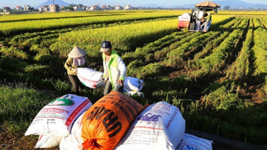 Investment in agriculture and rural areas encouraged