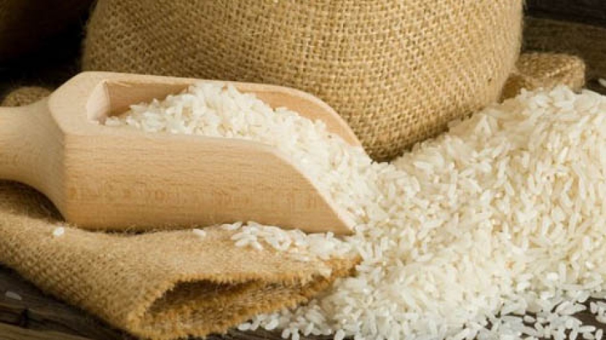 Superior quality rice yields hope for Vietnamese farmers