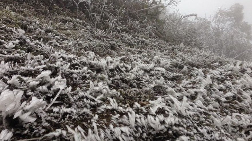 Mu Cang Chai blanketed in ice for third time in one month