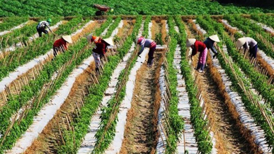 EU promotes trade on farm products, food with Vietnam