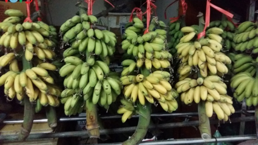 Ha Nam famous for Dai Hoang king banana