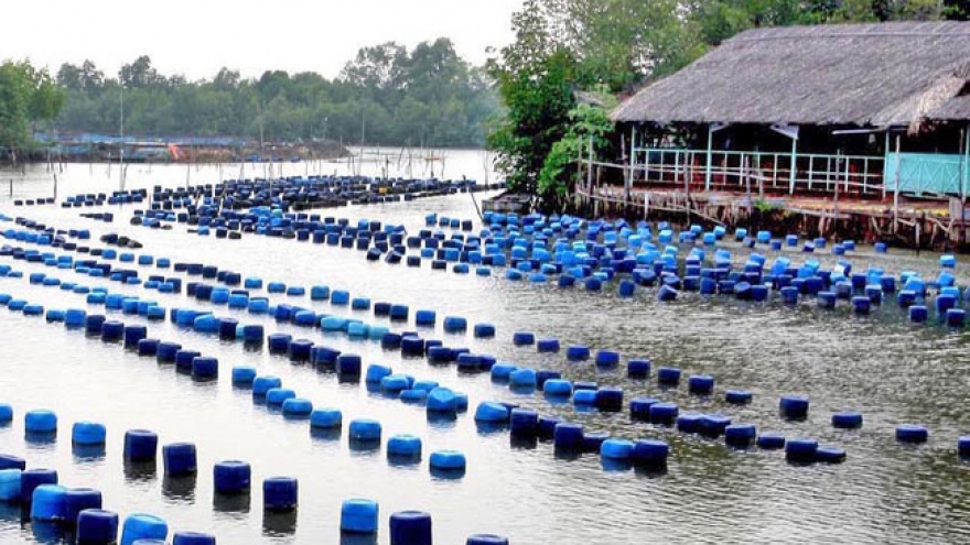 Bangladesh wishes to cooperate with Vietnam in oyster farming
