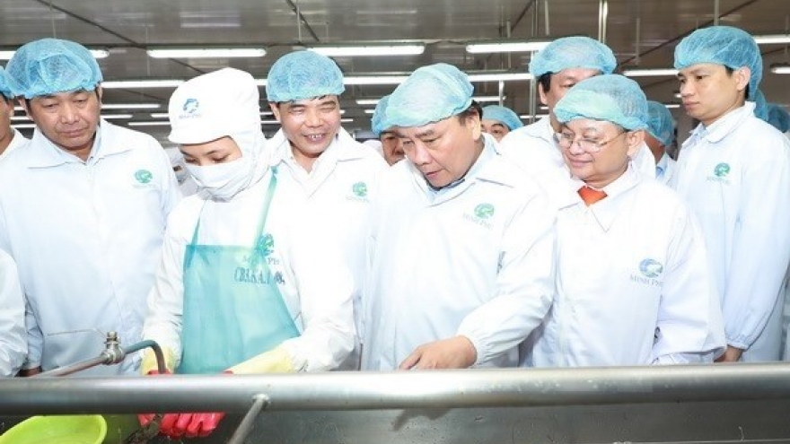 
        PM tours shrimp processing corporation in Ca Mau
                              