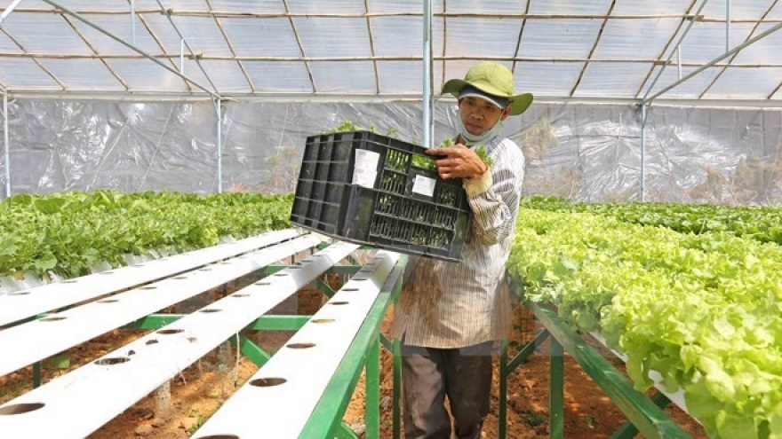 Japan leads agriculture trade mission to Vietnam