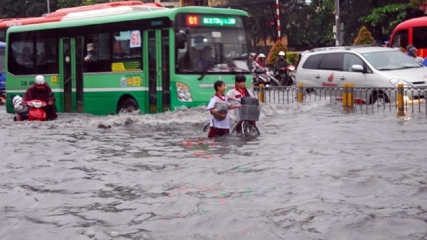 Vietnam makes efforts to minimize natural disaster risks