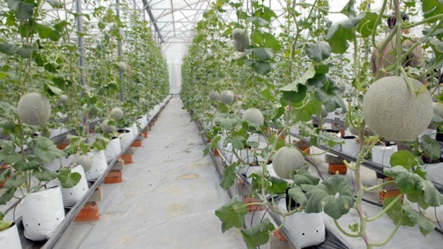 Vietnam to attend agricultural technology expo in India