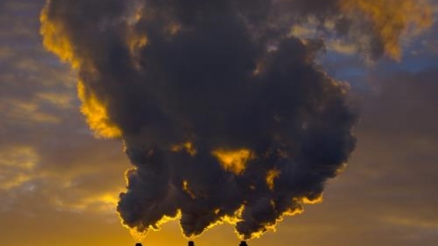 25% of global deaths caused by pollution: WHO