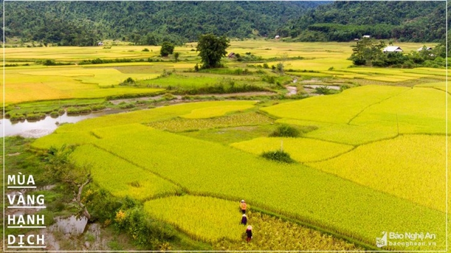Top ten destinations in Nghe An during autumn season