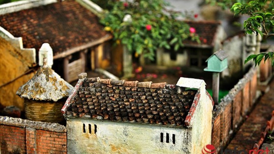 ‘Bonsai Buildings’ add magic to ancient art form
