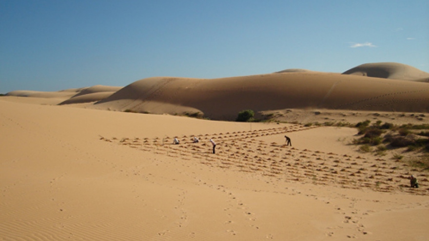 Most captivating sand dunes in Vietnam
