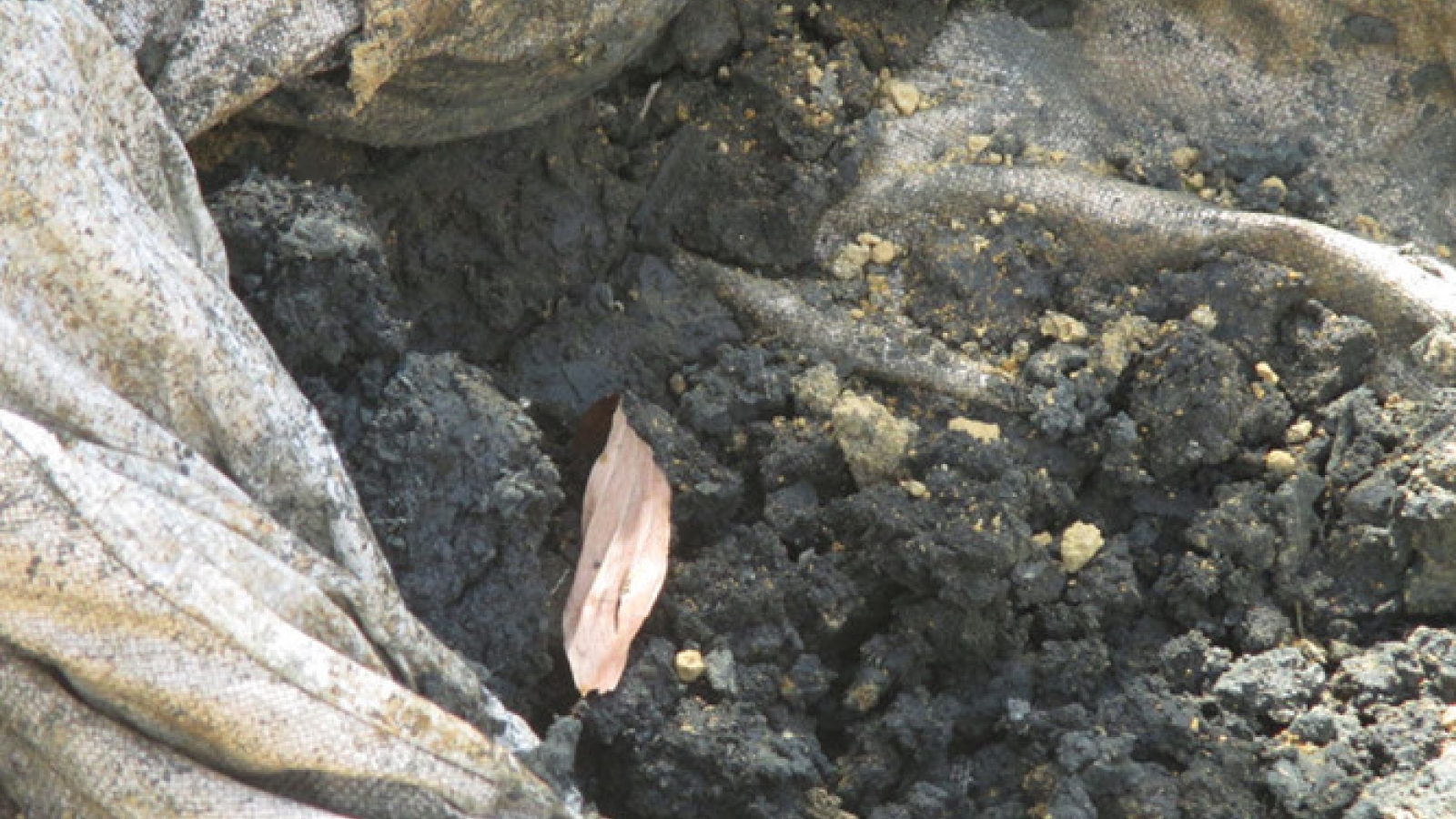 Officials assess toxicity of Formosa Plastics waste 