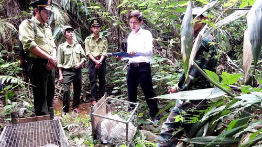 Eight rare animals freed in central national park