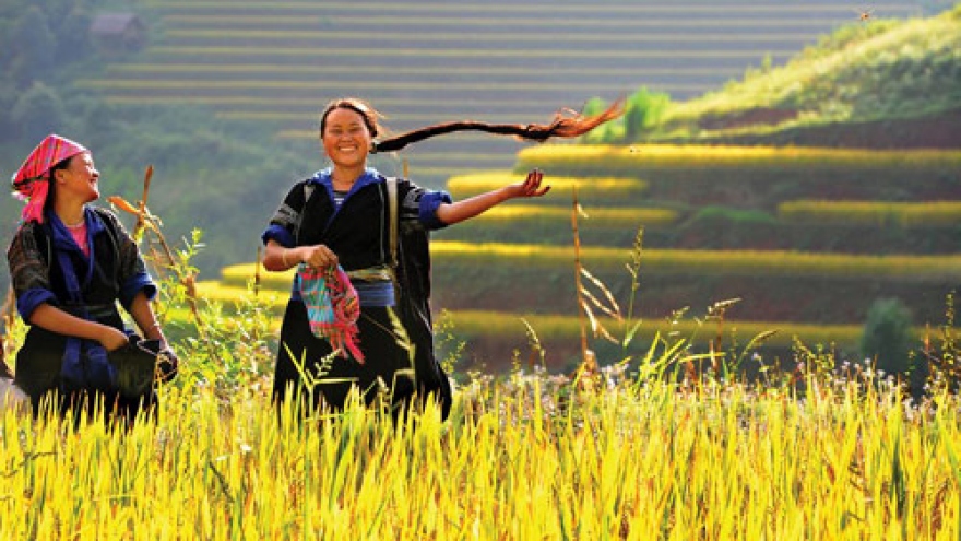 Marvellous photos that you mustn’t miss