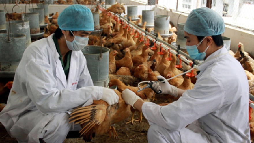 Vietnam on alert for Avian Influenza A (H7N9)