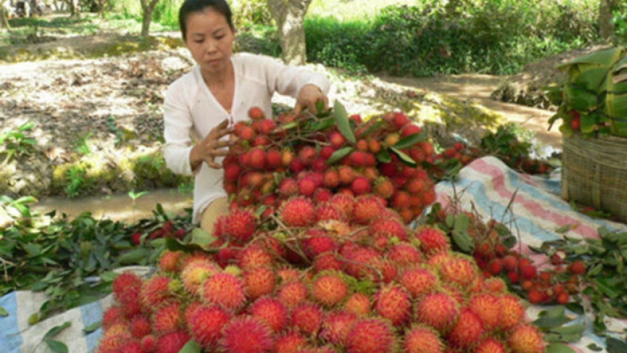 New Zealand closer to allowing fresh rambutan imports