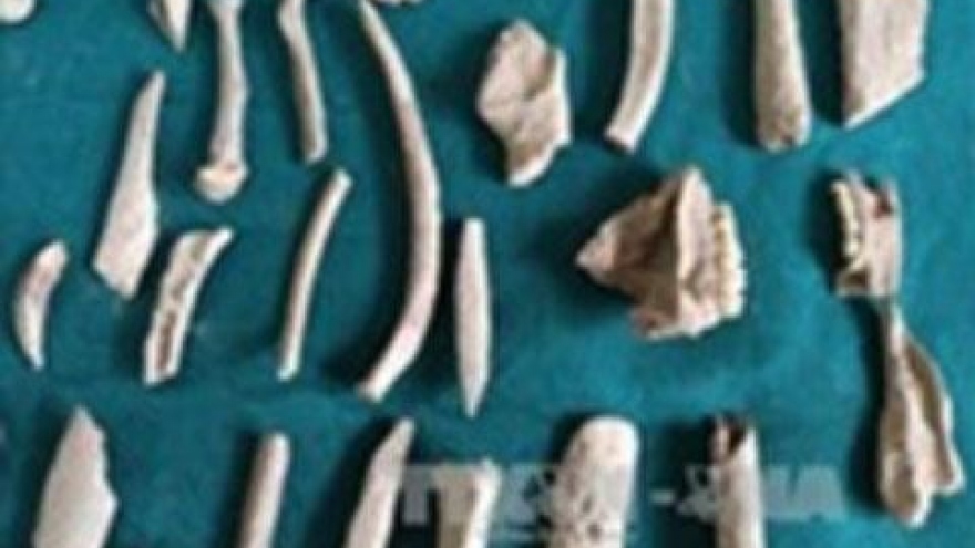 Many artefacts unearthed in Lang Son province