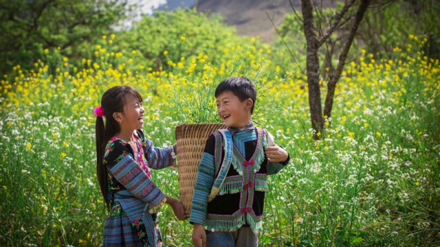 Beautiful moments of Spring