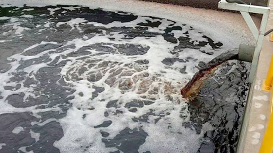 Global coffee exporter fined US$18,700 for discharging toxic waste in southern Vietnam
