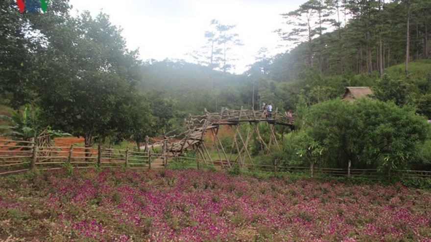 Discovering Cu Lan village – a lush fairy land in Da Lat