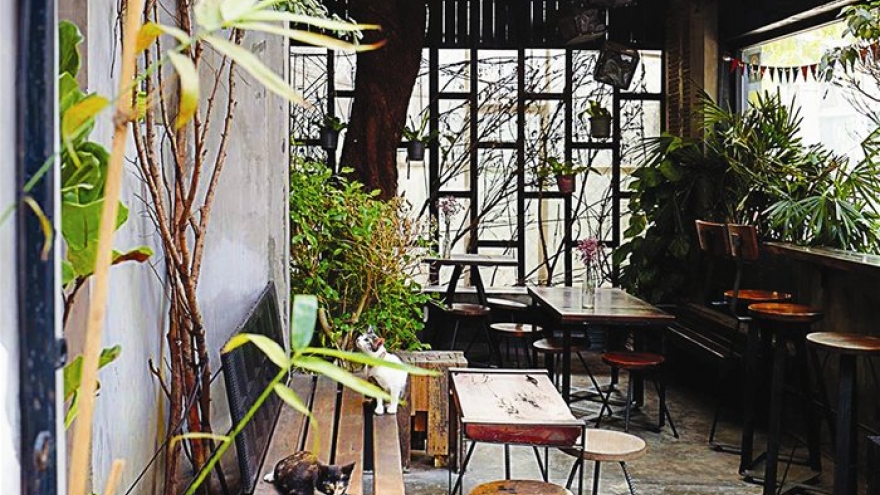 A peaceful time at Nomad Café