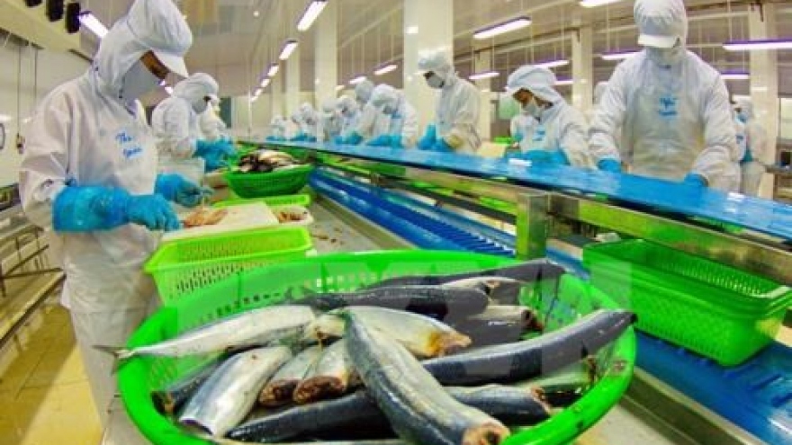
        China likely becomes Vietnam’s biggest tra fish market
                              