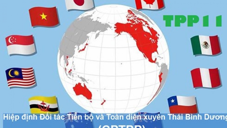 
        CPTPP brings Vietnam direct economic benefits
                              