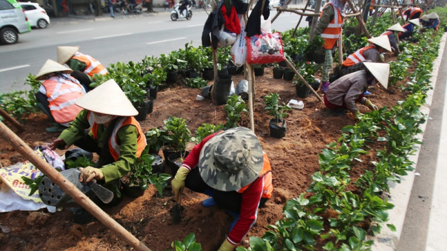 Hanoi bustling in spring days