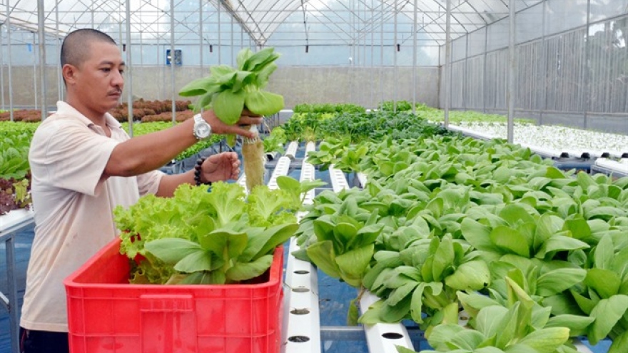 High-tech farming development sluggish