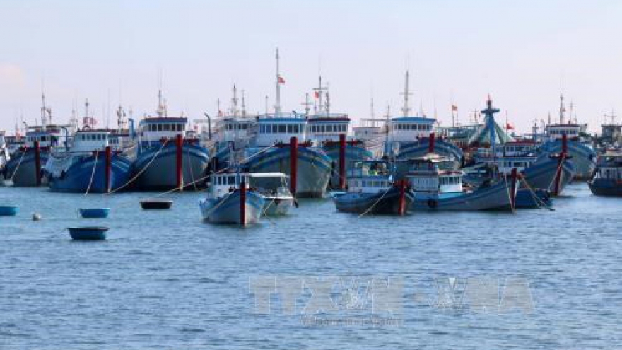 
        More storm shelter for fishing boats built in Ben Tre
                              