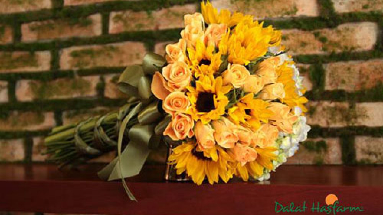Dalat Hasfarm opens store in Hanoi