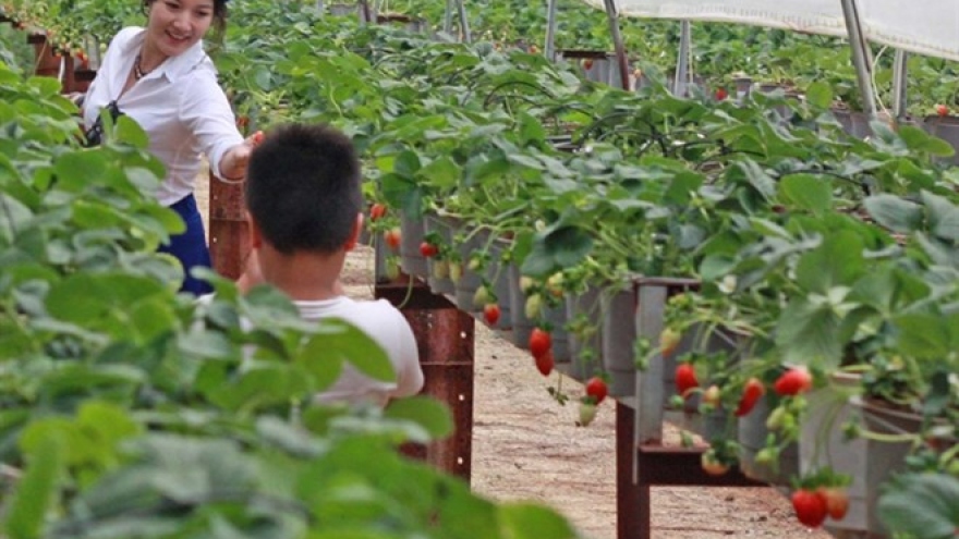 Japan eyes TPP investment in Vietnam’s agriculture