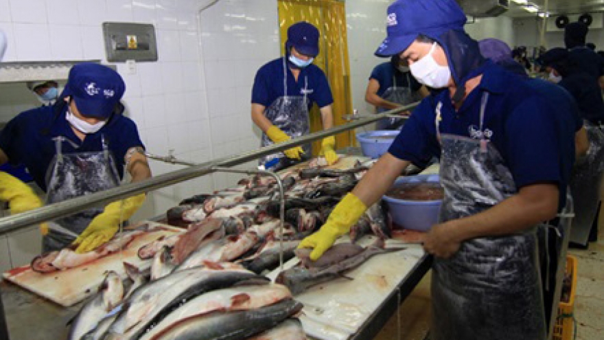 Tra fish industry needs makeover