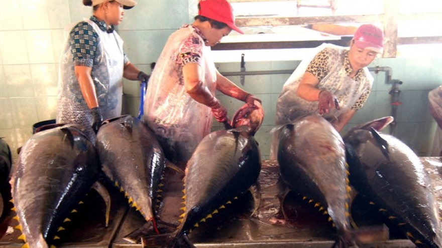 Vietnam’s tuna exports surged