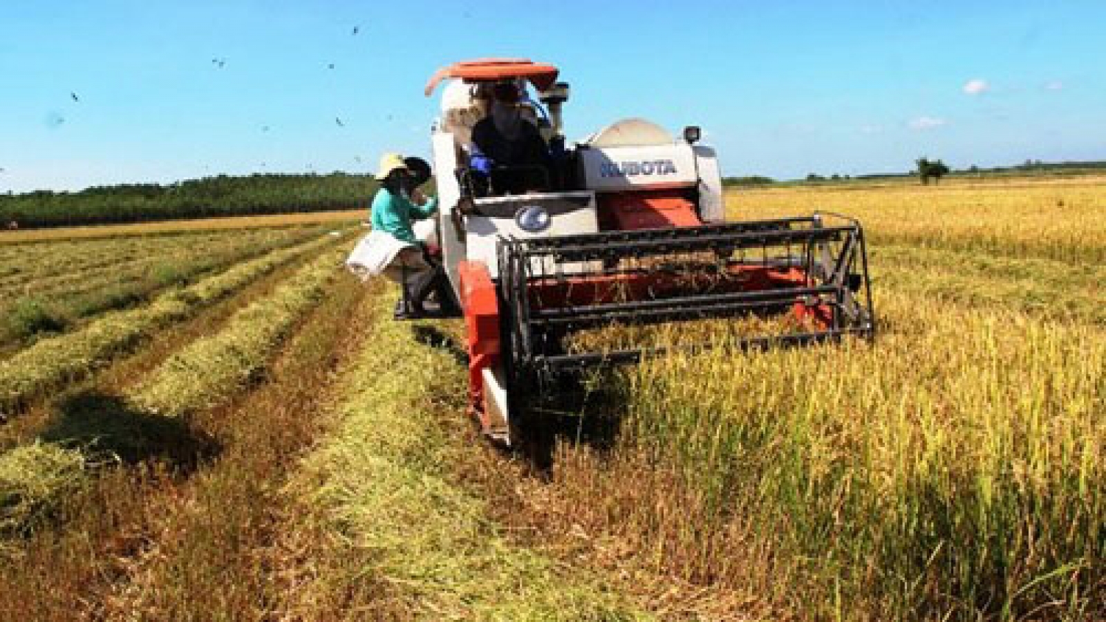 State ups agriculture investment