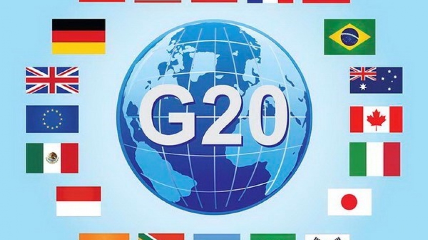 Vietnam active in G20 senior official meeting in Germany