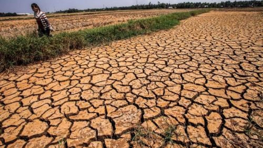 
        Southern region to see less drought, more rain in 2017 dry season
                              