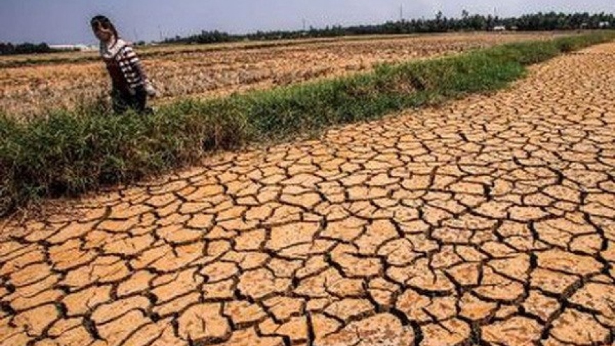 Natural disasters could cost VN US$6.7 billion 