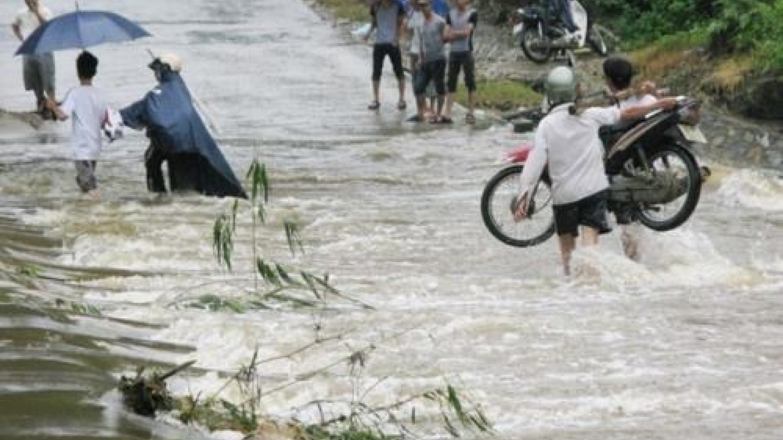 Vietnam commits to Paris agreement on climate change