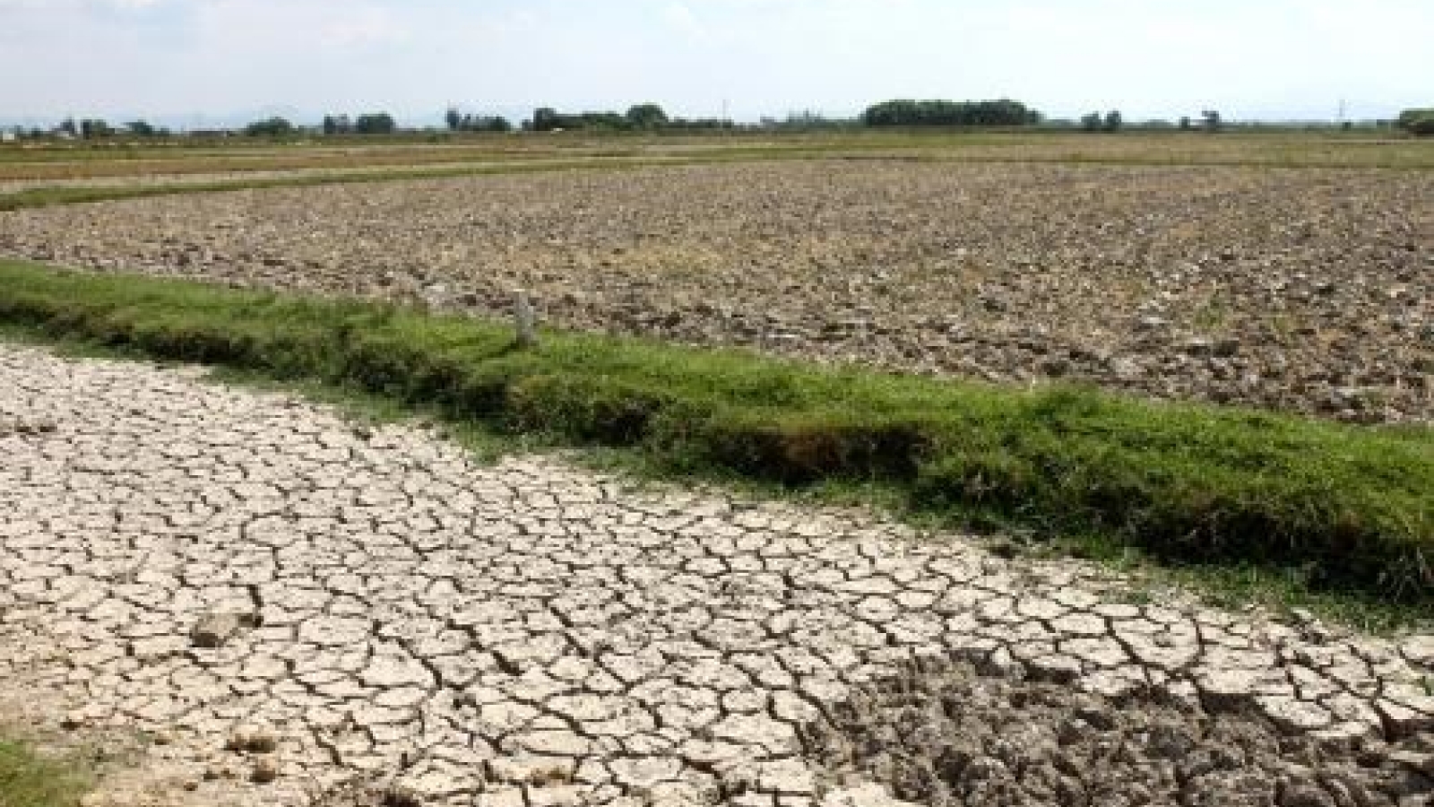 Ecosystem-based climate change adaptation reaps fruits