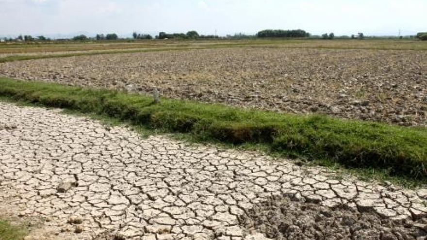 Ecosystem-based climate change adaptation reaps fruits