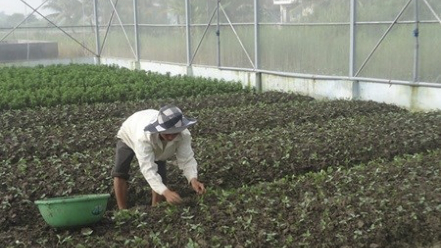 Farm co-operatives need more support