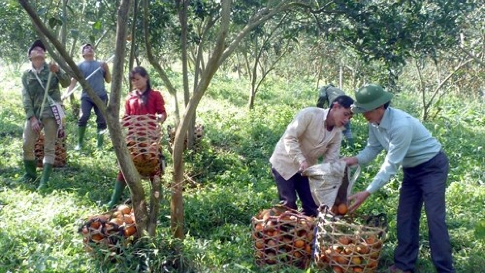 Labour productivity critical for growth: minister