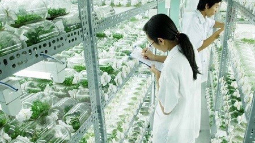 Hi-tech zones aim to improve farming sector