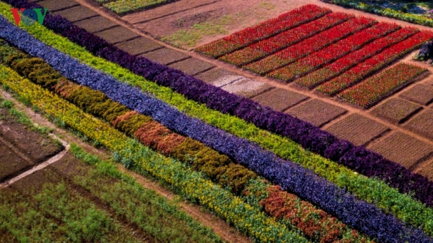 The stunning green plateau of Khai Trung tourist site 
